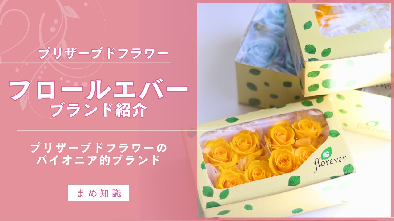 フロールエバー｜プリザーブドフラワーのブランドの紹介